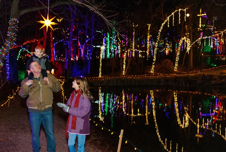 Walk-Thru-Christmas-Lights-scaled